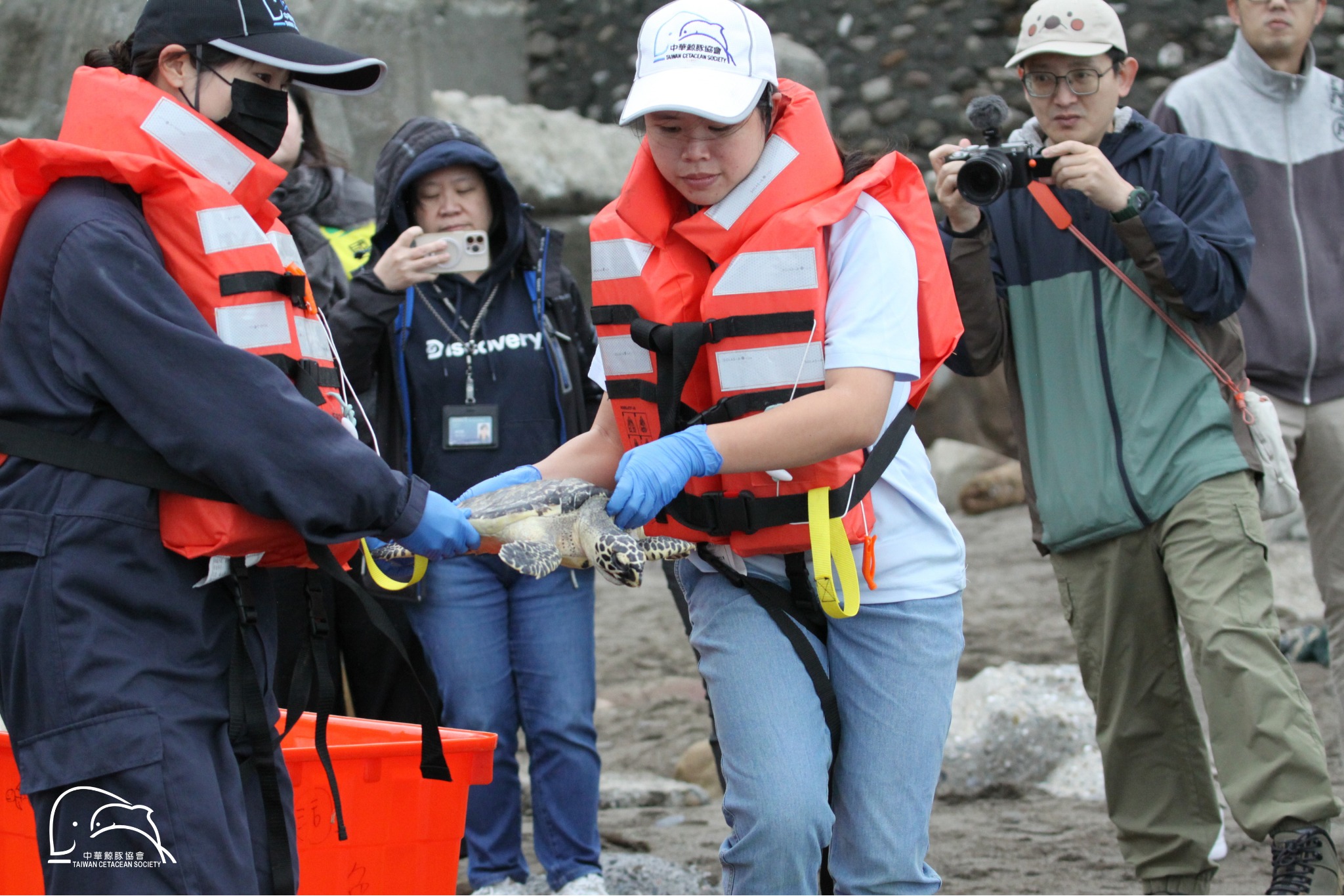 中華鯨豚協會 擱淺海生動物的守護者
